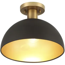 1-Light Ceiling Light