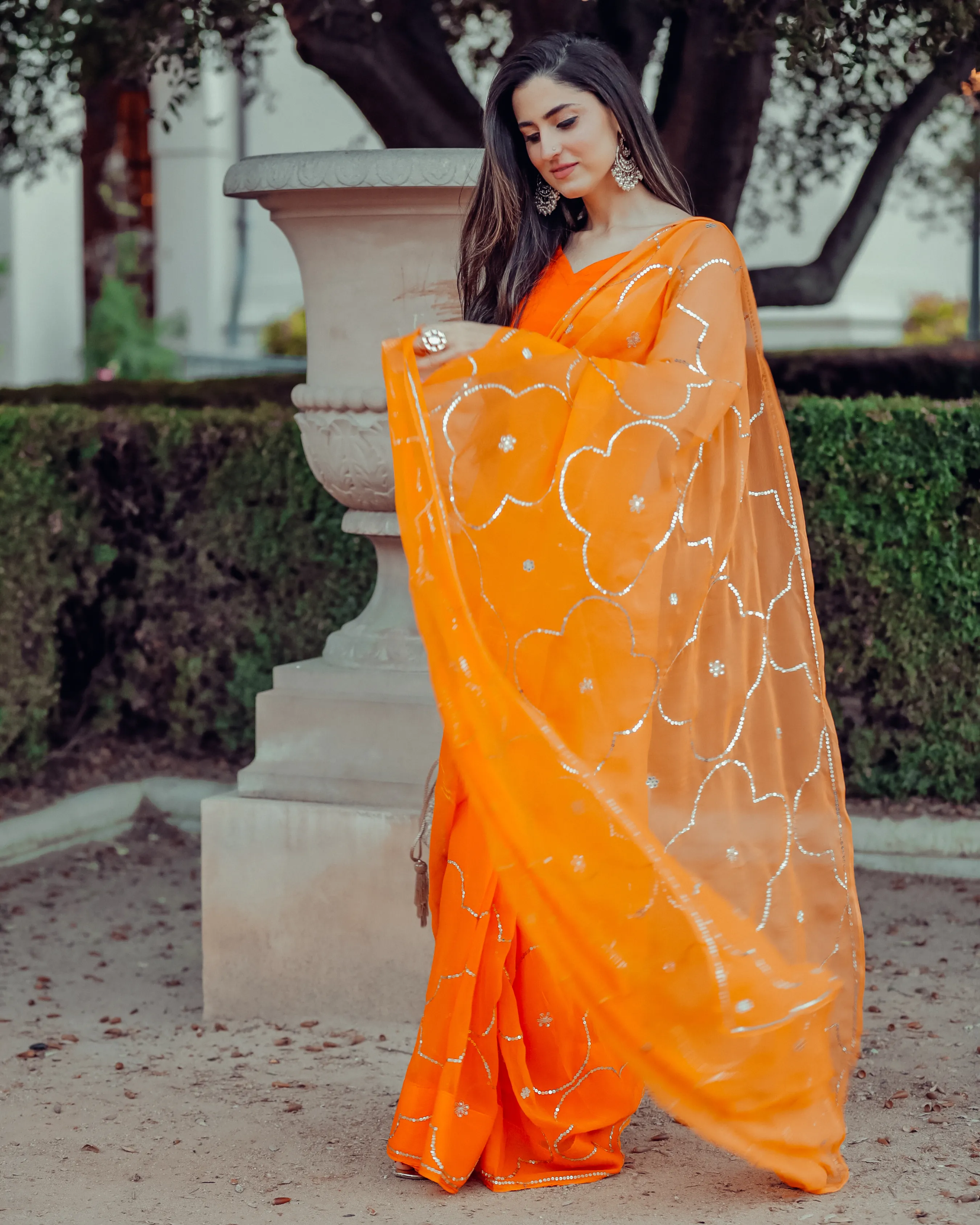 Autum Glory Sequin Jaal Pure Chiffon Saree