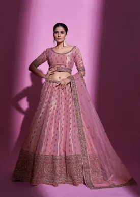 Beautiful Pink Embroidered Lehenga Set - Rent