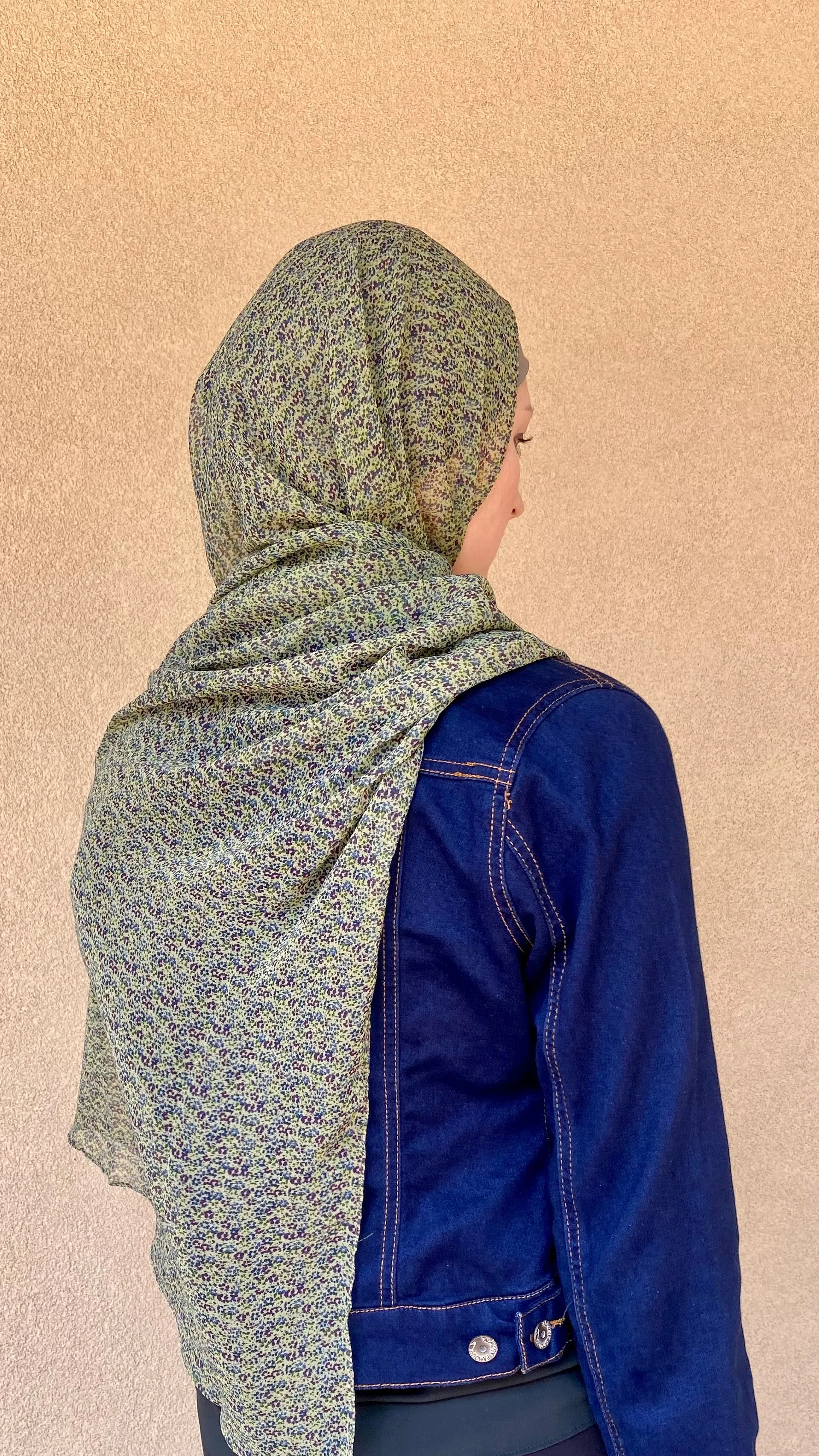 Earthbound Printed Chiffon Shawls/Hijabs