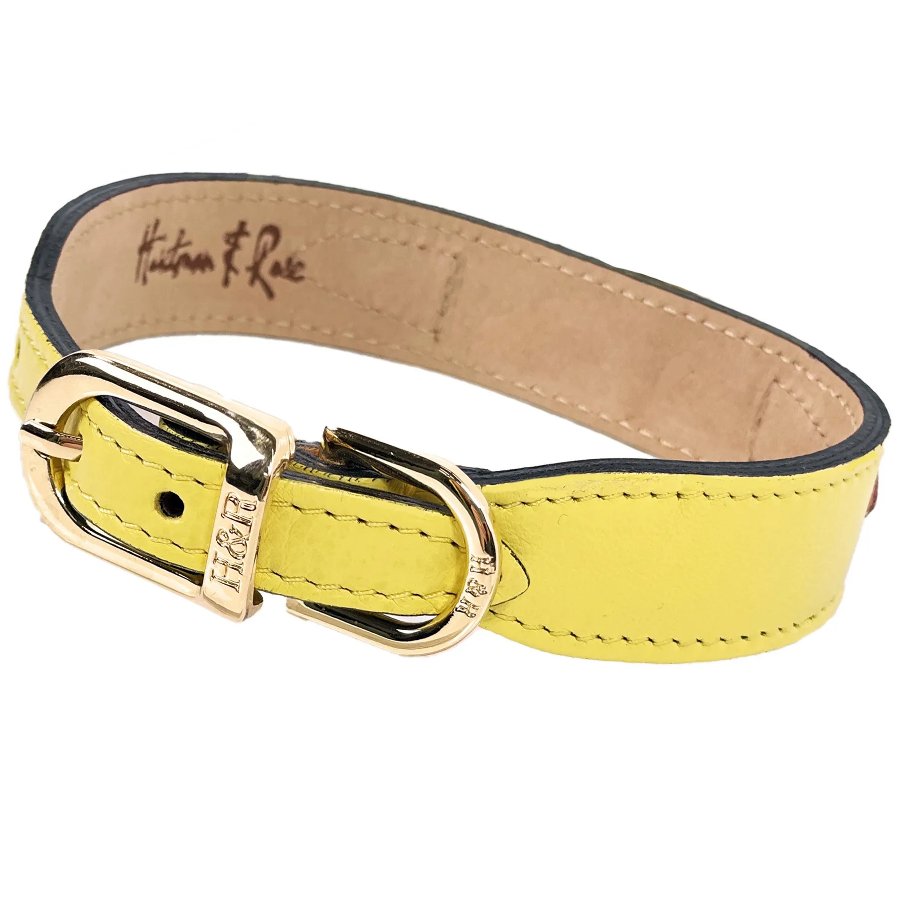 Leap Frog Dog Collar in Canary Yellow & Gold