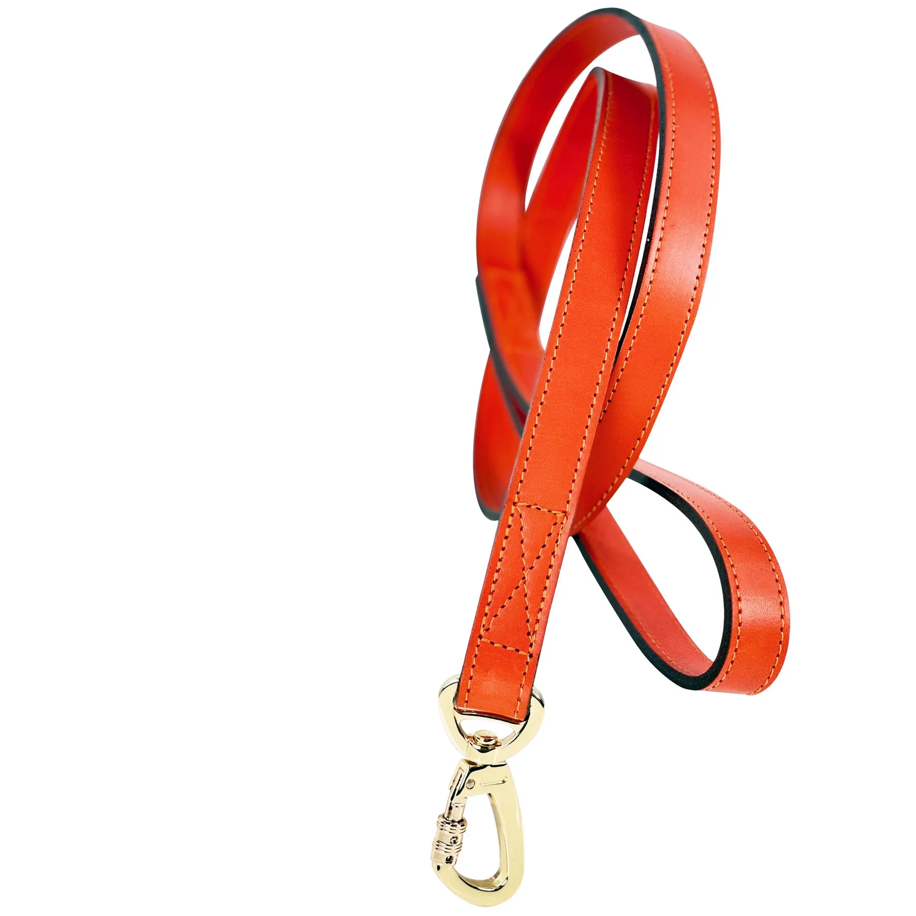 Regency Dog Leash in Tangerine & Gold